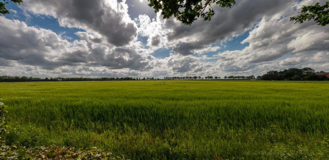 Appartementen Buitenwedde Westerwolde 外观 照片